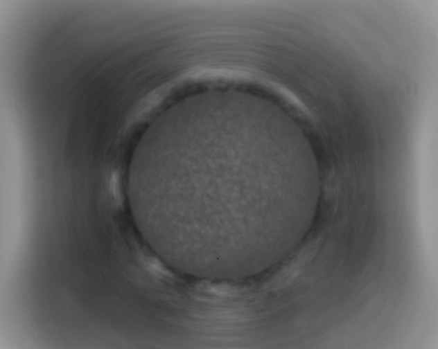 X0000113880774200910011132