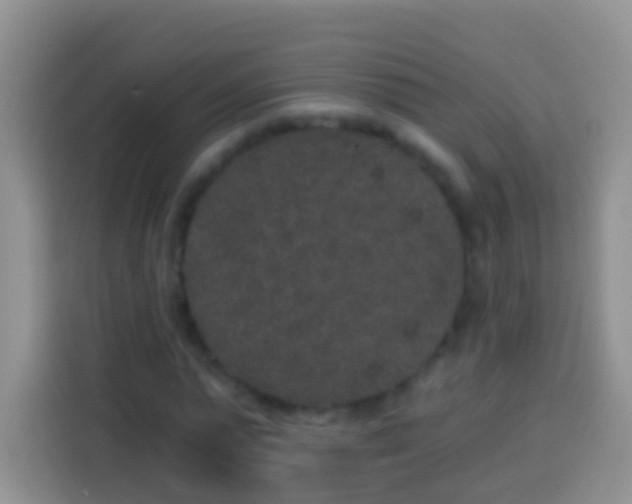 X0000113880775200910011132