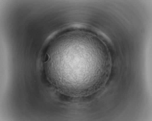 X0000113880776200910011132