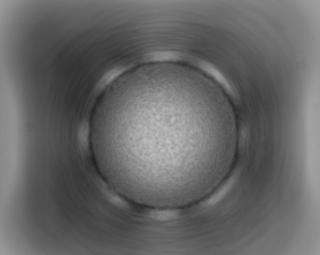 X0000113880778200910011131