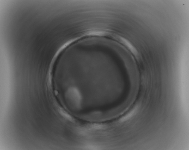 X0000113880779200910011131