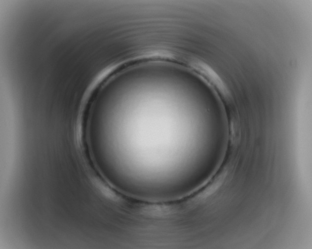 X0000113880780200910011131