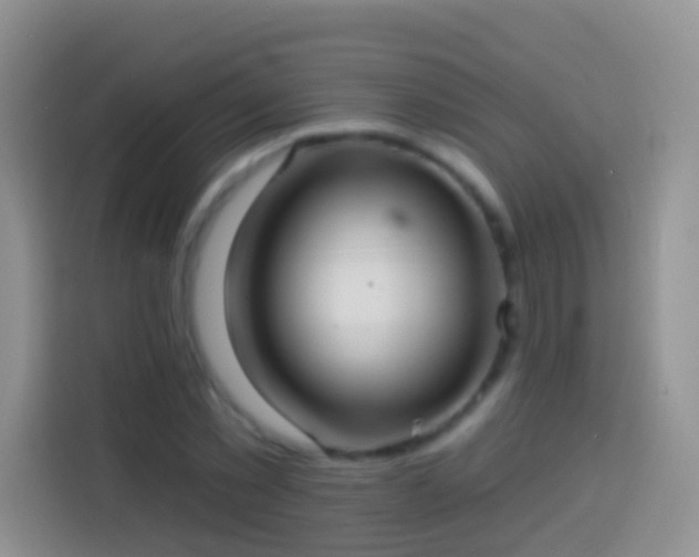 X0000113880781200910011131