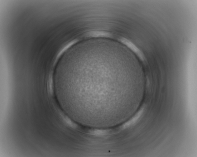 X0000113880782200910011131