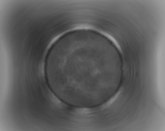 X0000113880783200910011131