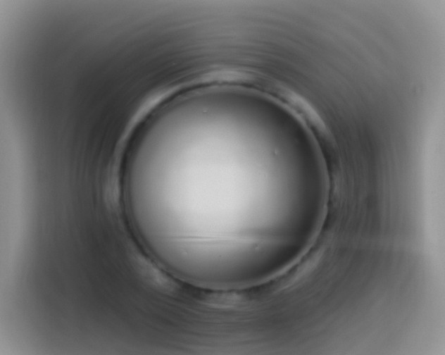 X0000113880784200910011131