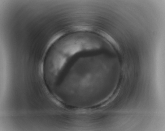 X0000113880790200910011131