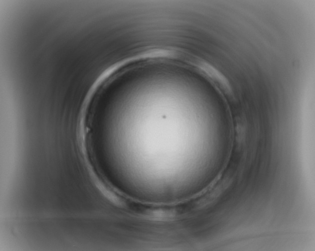 X0000113880792200910011131