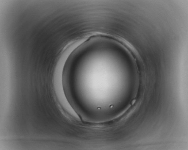 X0000113880793200910011131