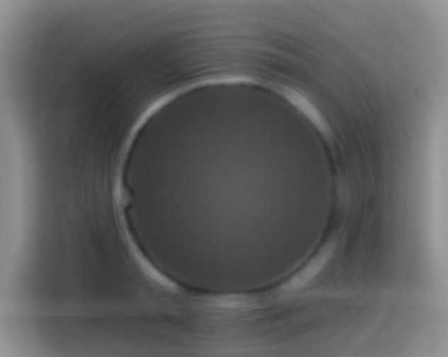 X0000113880797200910011131