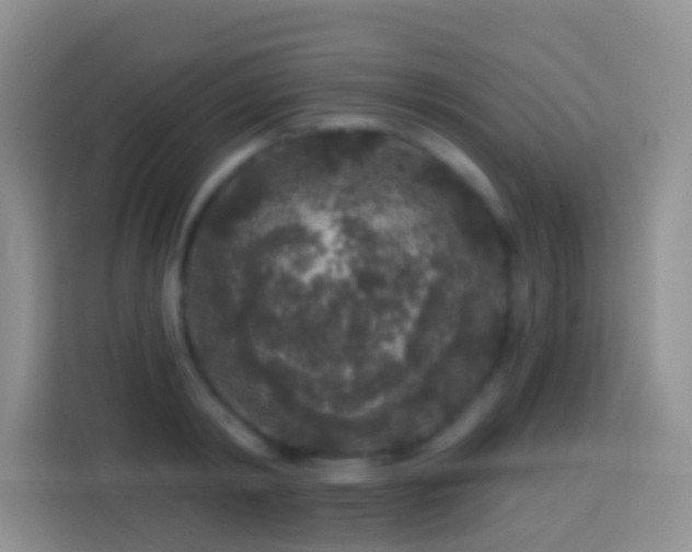 X0000113880798200910011131