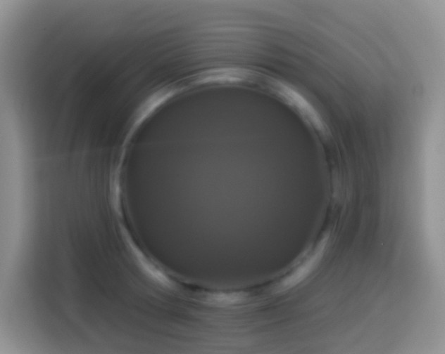 X0000113880802200910011131