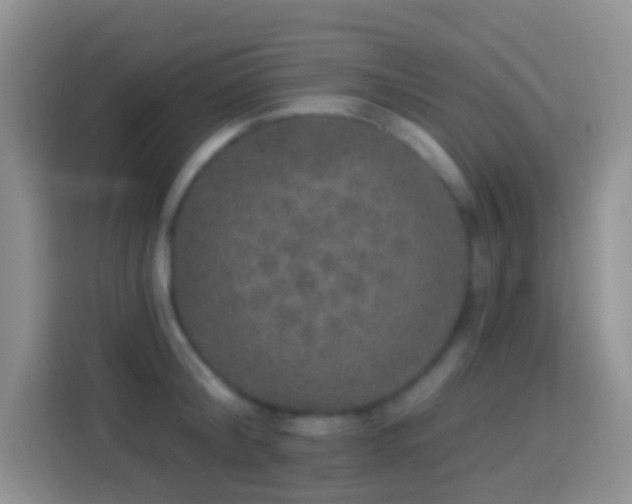 X0000113880804200910011131