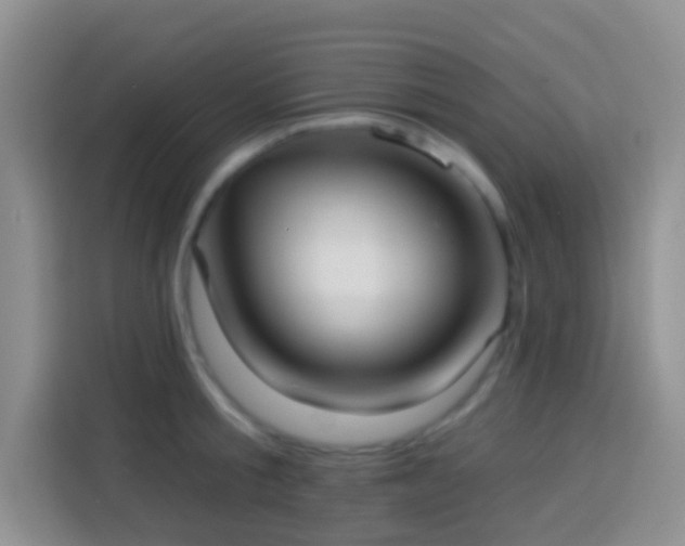 X0000113880805200910011131