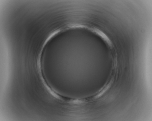 X0000113880806200910011131