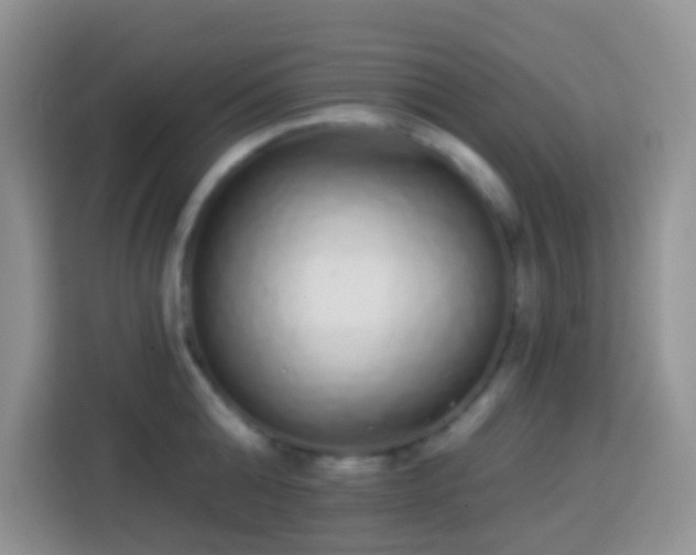 X0000113880808200910011131