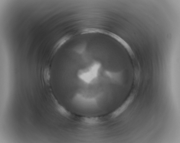 X0000113880809200910011131