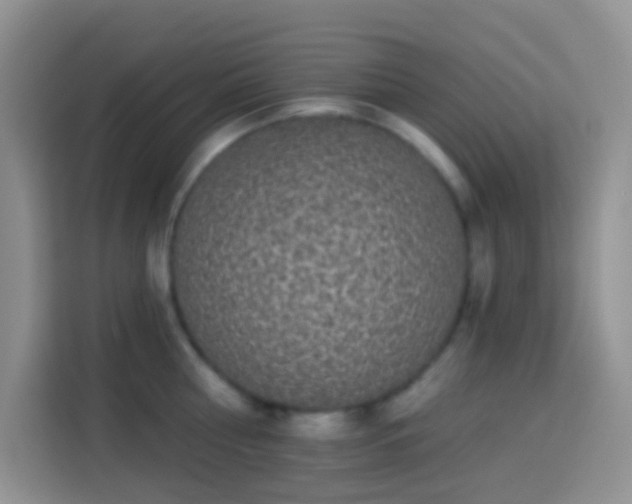 X0000113880810200910011131