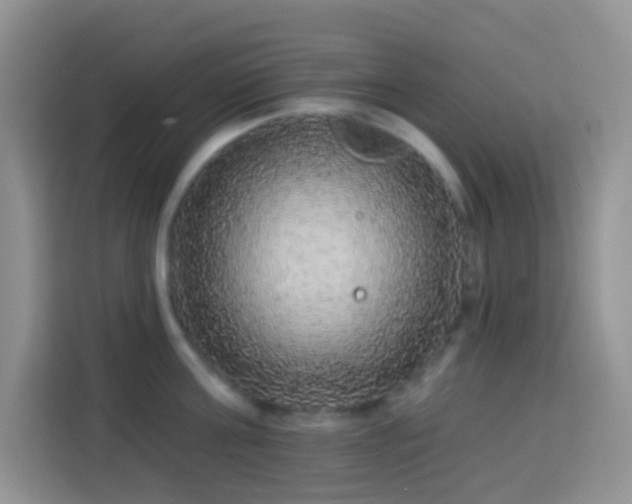 X0000113880811200910011131