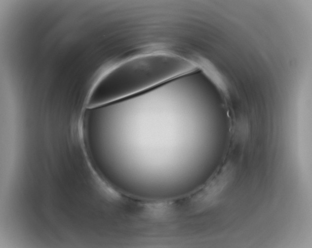 X0000113880813200910011131