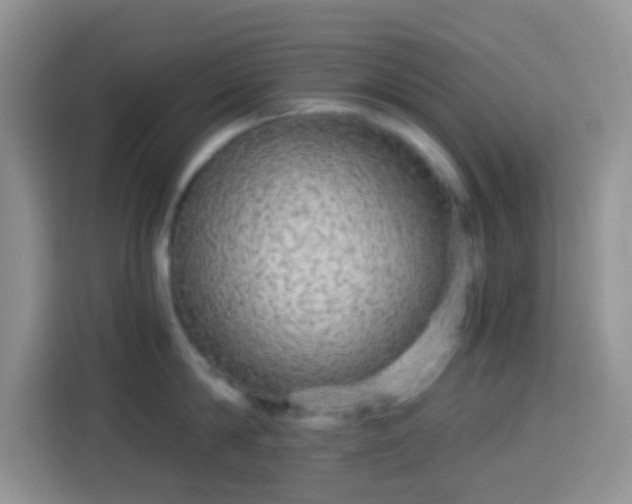 X0000113880814200910011131