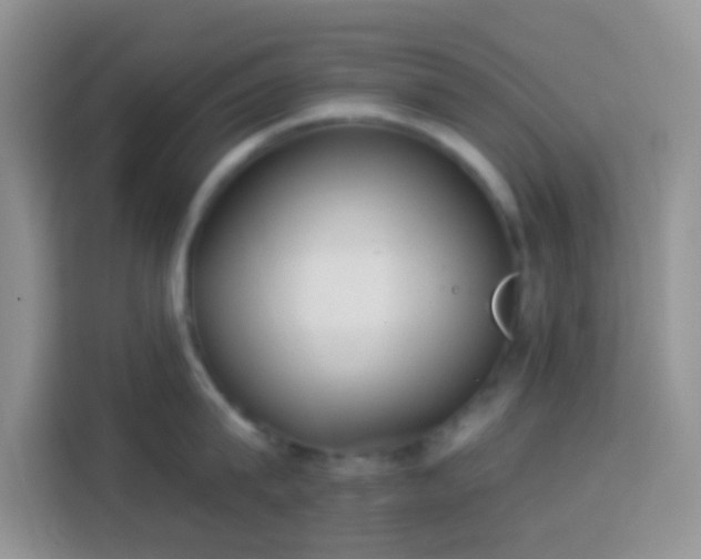 X0000113880815200910011131