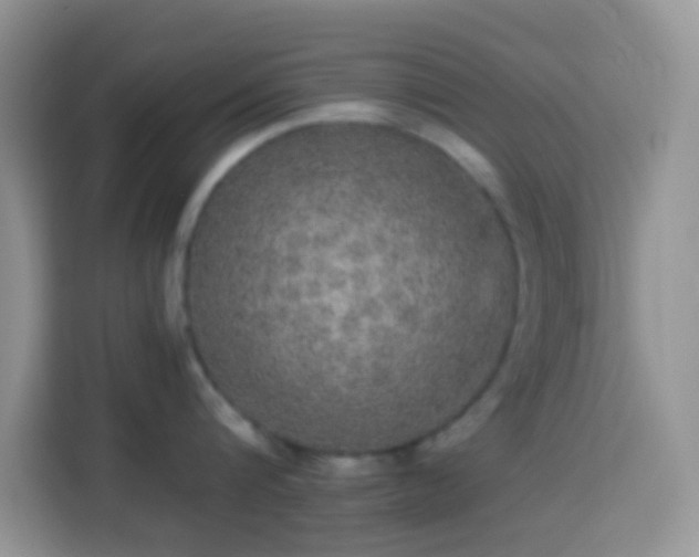 X0000113880816200910011131