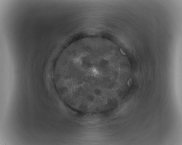 X0000113880817200910011130