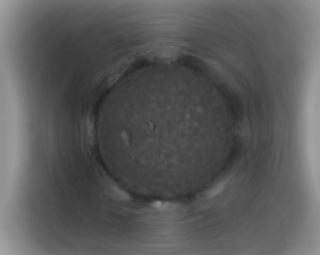 X0000113880818200910011130