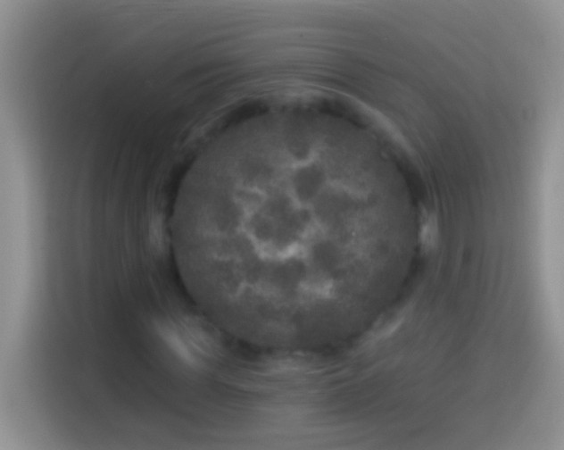 X0000113880819200910011130