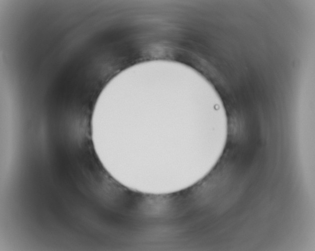 X0000113880820200910011130