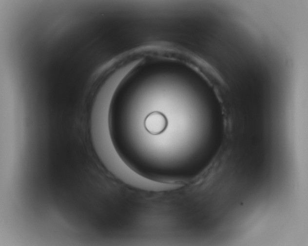 X0000113880822200910011130