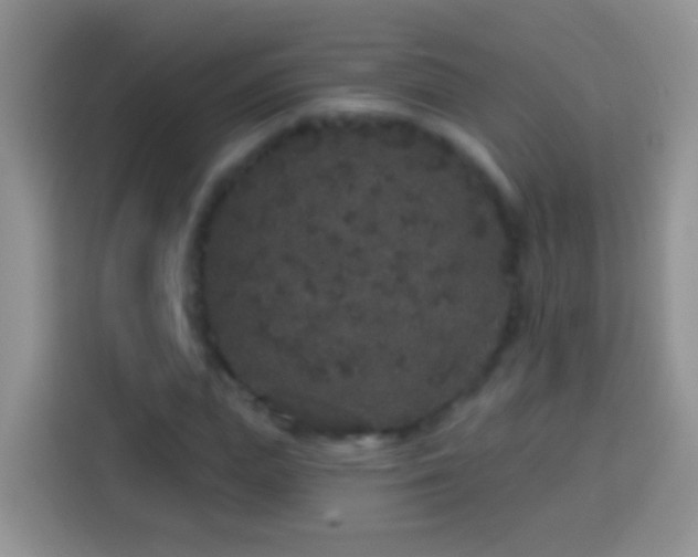 X0000113880823200910011130