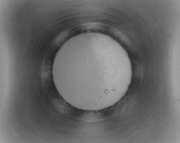 X0000113880824200910011130