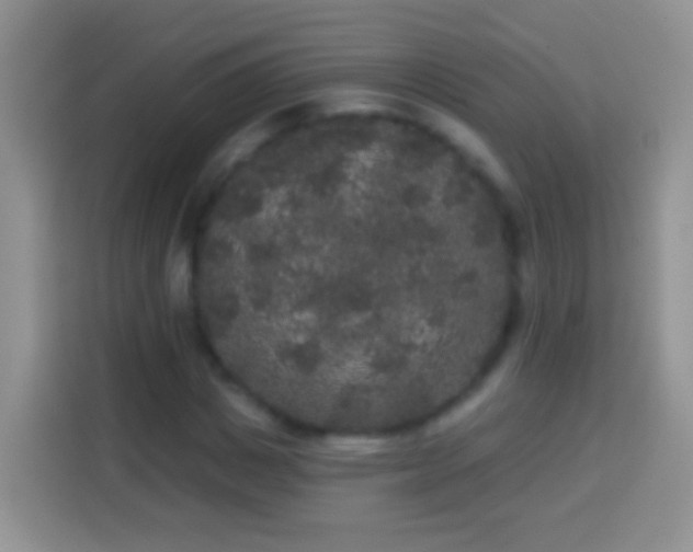 X0000113880825200910011130