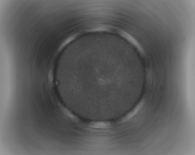 X0000113880826200910011131