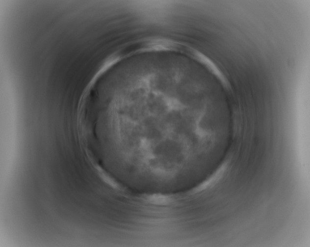 X0000113880827200910011131