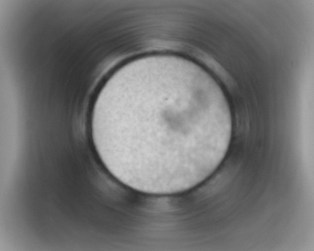 X0000113880828200910011131