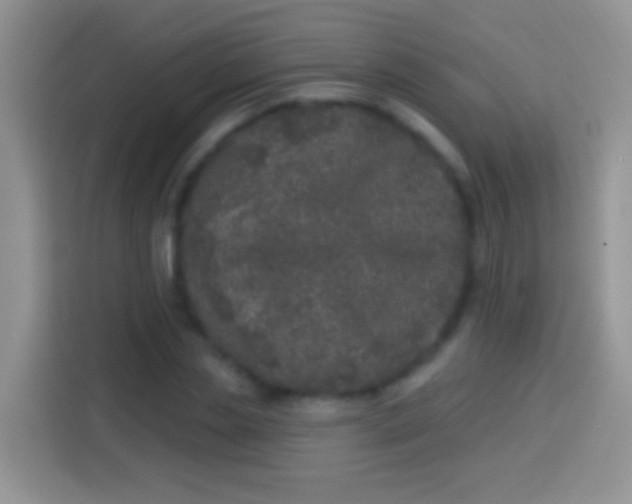 X0000113880829200910011131