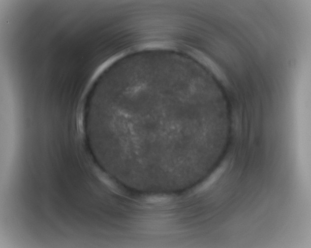 X0000113880830200910011131