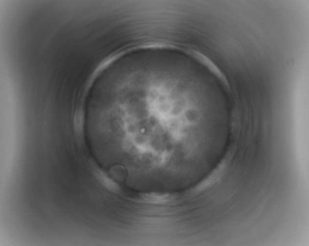 X0000113880831200910011131