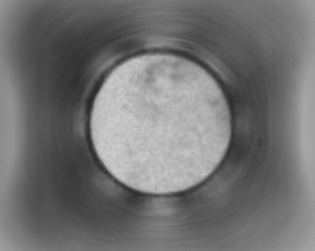 X0000113880832200910011131