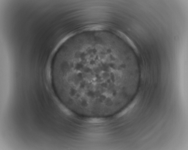 X0000113880835200910011131