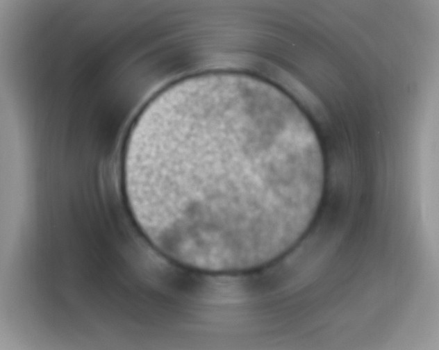 X0000113880836200910011131