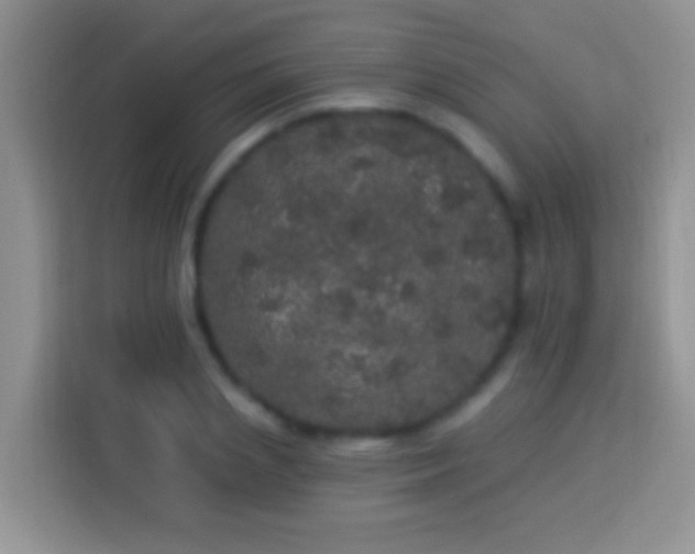 X0000113880837200910011131