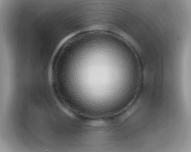 X0000113880838200910011131