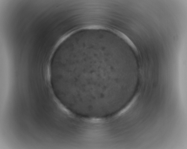 X0000113880839200910011131