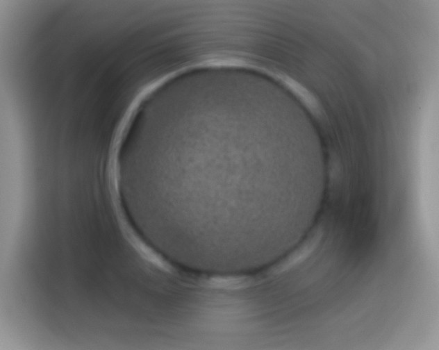 X0000113880840200910011131