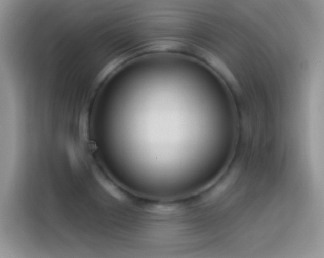 X0000113880842200910011131