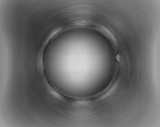 X0000113880843200910011131